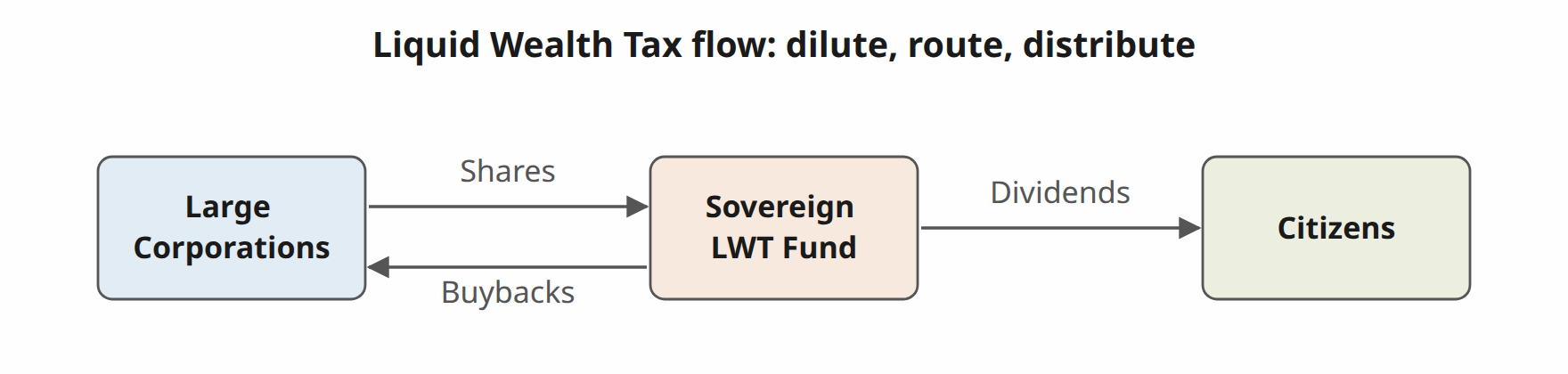 Large corporations issue new non-voting shares to a public fund each year; the fund holds the residual stake, offset by buybacks.